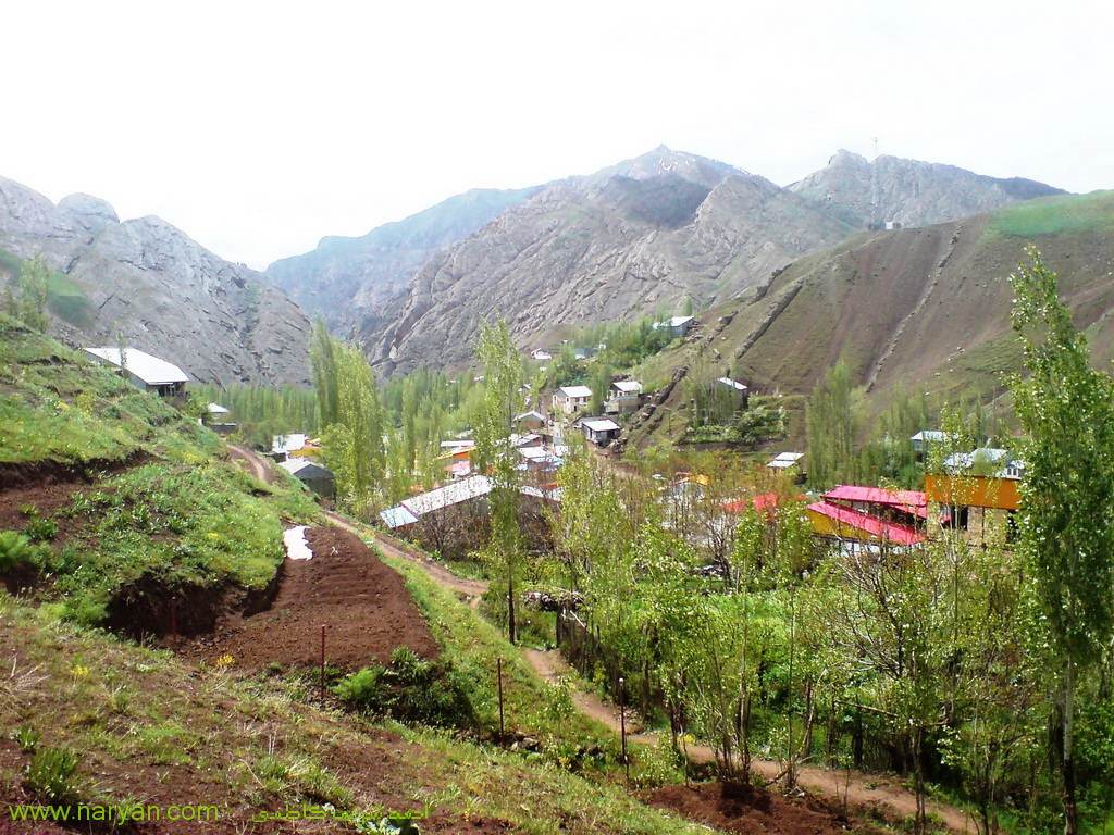 AhmadSharifKazemi1393 (8).jpg